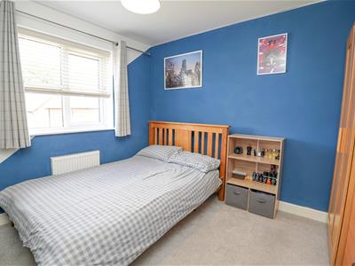 Picture 21